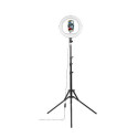Hama SpotLight Steady 120 II lighting ring 160 LED