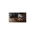 Bosch GCO 14-24 J 35.5 cm Blue, Grey 3800 RPM 2400 W