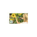 Bosch EasyPrune pruning shears Bypass Black, Green
