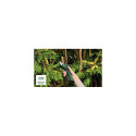 Bosch EasyPrune pruning shears Bypass Black, Green