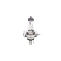 Bosch ECO H4 12V 60/55W Plus 100