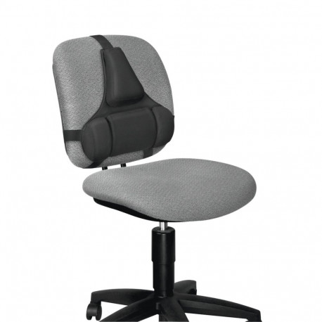 Fellowes (8041801)