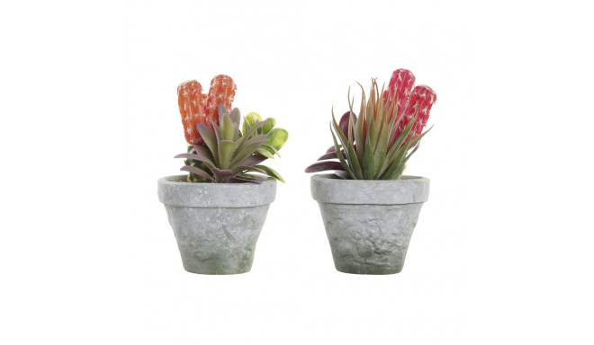 Decorative Plant DKD Home Decor Red Grey Orange EVA PE (16 x 12,5 x 19,5 cm) (2 Units)