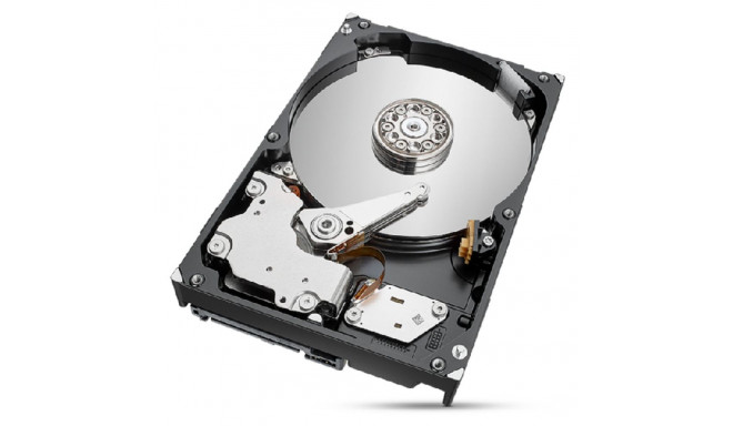 Hard Drive Seagate ST2000NT001 3,5" 2 TB 2 TB SSD 2 TB HDD