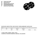 Basketball Ball Spalding Excel TF-500 Brown 5