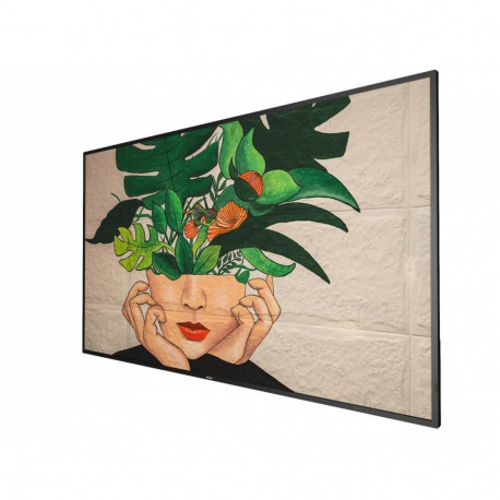 "PHILIPS D-Line 55BDL4511D 24/7/UHD/500cd (Speditionsversand)"