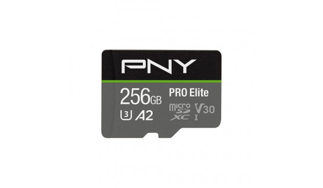 PNY PRO Elite MicroSDXC 256 GB Class 10 UHS-I/U3 A2 V30 kaart (P-SDU256V32100PRO-GE)