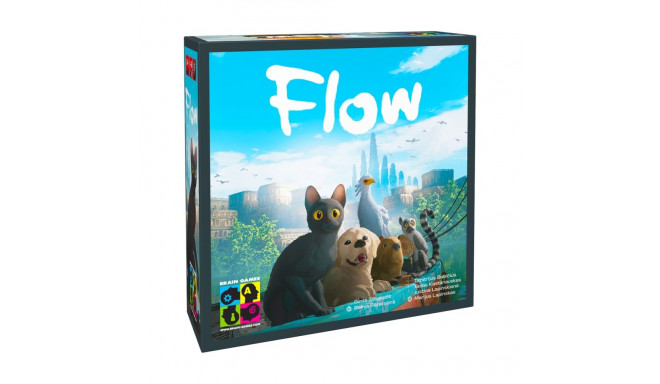 Brain Games Flow