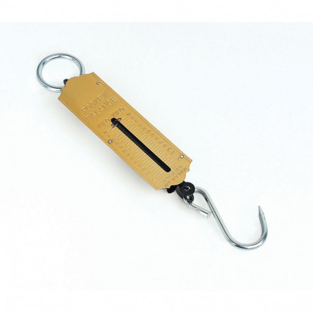Spring scale 50kg