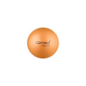 Exercise Ball - Abs Rehabilitation Ball 25cm
