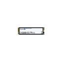 Kingston Technology 4T FURY RENEGADE G5 M.2 2280 NVMe SSD