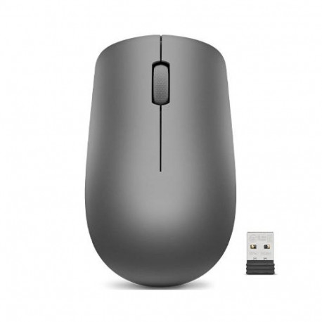 Lenovo 530 mouse Office Ambidextrous RF Wireless Optical 1200 DPI