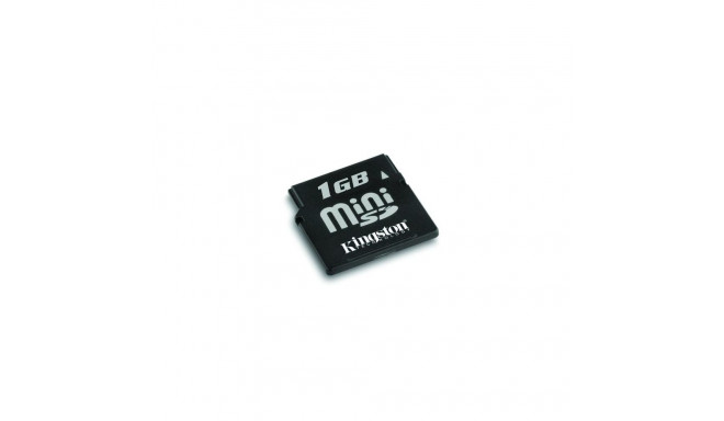Kingston Technology 1 GB miniSD Card