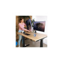 R-Go Tools Monitor arm R-Go Caparo Dual, for two monitors, adjustable with gas spring, 3-9 kg load c