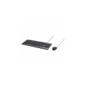 Renkforce RF-KMC-711 keyboard Mouse included Home USB QWERTZ German Black