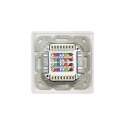 Renkforce RF-4393024 socket-outlet 2 x RJ-45 White