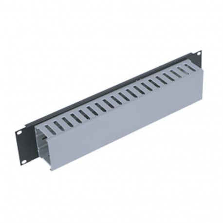 Triton 19" panel 2U with cable trunking