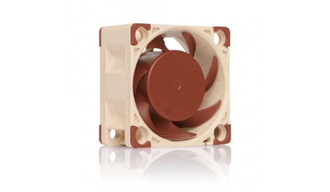 Noctua NF-A4x20 PWM Computer case Fan 4 cm Beige, Brown