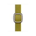 Apple 42mm Chartreuse Modern Buckle - Small
