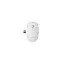 Gembird MUSW-4B-01-W mouse Office Ambidextrous RF Wireless Optical 1600 DPI