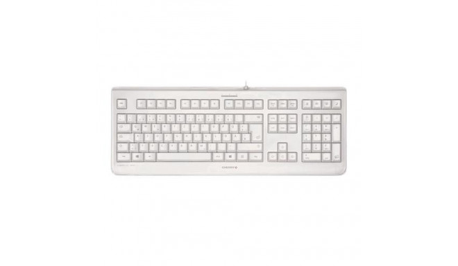 CHERRY KC 1068 keyboard USB Swiss Grey