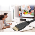 Techly HDMI 2.0 Cable A/A M/M 6m Black ICOC HDMI2-4-060