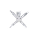 Techly ICA-PM 16 project mount Wall/ceiling Silver