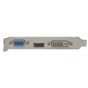 AFOX G 210 NVIDIA GeForce G210 1 GB GDDR3
