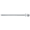 Fischer 561793 screw/bolt 100 pc(s)