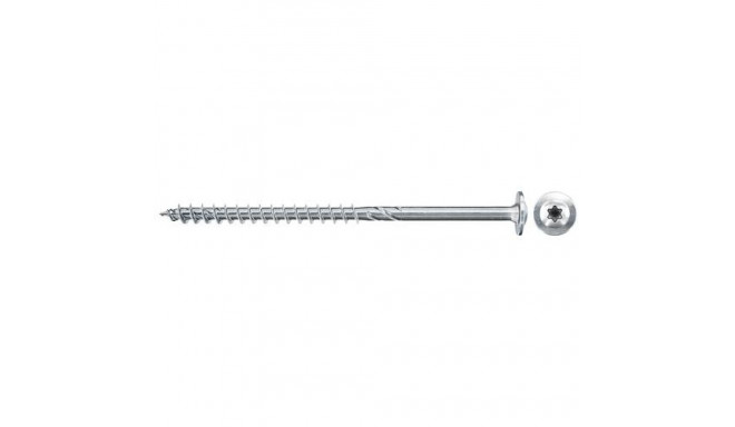 Fischer 561793 screw/bolt 100 pc(s)