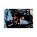 Pagasimatt RAV4 19- Across 20-