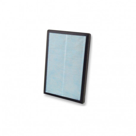 Esperanza Filter for Bora purifier