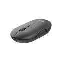 Trust MOUSE USB OPTICAL WRL/PUCK RECHARGEABLE 24059