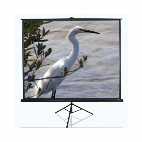 Elite Screens Tripod Series T120NWV1 Diagonal 120