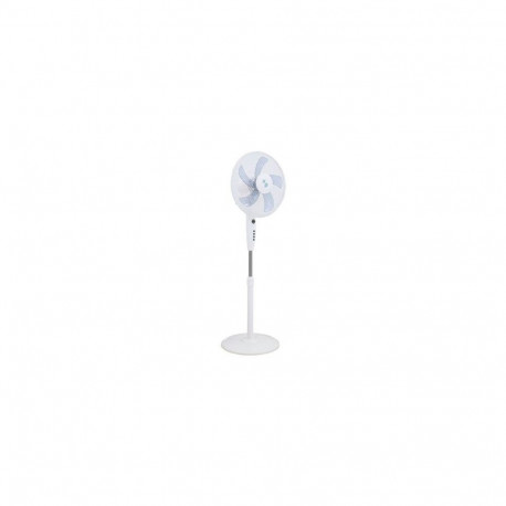 Beper P206VEN132