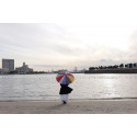 Panasonic Lumix S 24-60mm f/2.8 lens