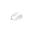 Keysonic KSM-5030M-W mouse (60193)