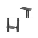 Neomounts Floor stand | PLASMA-M1950E TV trolley | Adjustable Height, Tilt | 60-100 " | Maximum weig