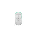Fury Gaming Mouse Tanto T4 juhtmega/juhtmevaba 2.4 GHz, Bluetooth, USB münt