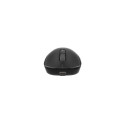 Fury Gaming Mouse | Tanto T4 | Wired/Wireless | 2.4 GHz, Bluetooth, USB | Black