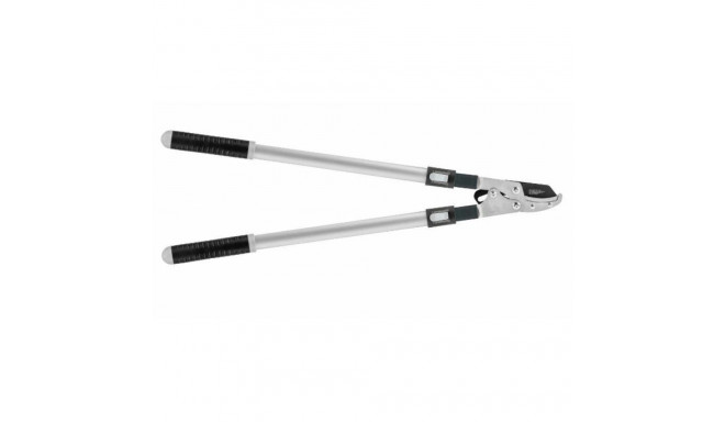 C.BASIC TELESCOPIC ANvil Pruner