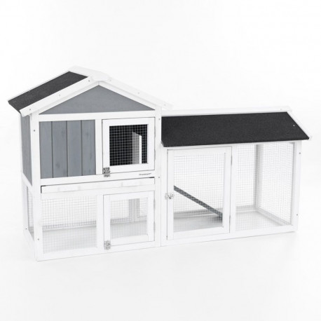 Lemmikloomapuur /kanakuut aiaga PROMINENT MOLLY