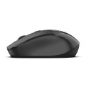 Optical wireless mouse Nebula