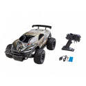 RC Car Desert Rat
