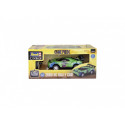 One Piece Zoro RC Rally Car