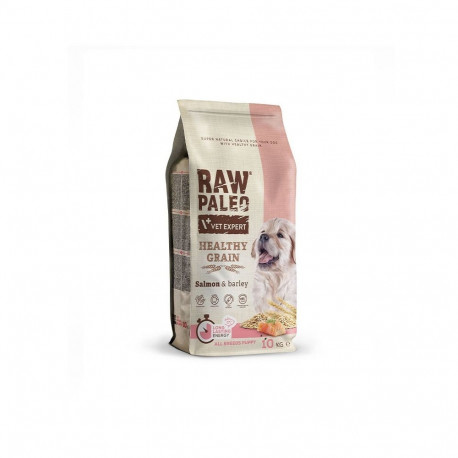 Dry Dog Food - VET EXPERT Raw Paleo Salmon & Barley 10kg