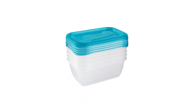 SET OF FOOD CONTAINERS OKKO 5X0.5L