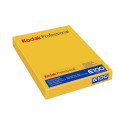 Kodak Ektachrome E100 4x5 10 sheets