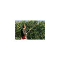Einhell 3425205 garden sprayer accessory Spray lance
