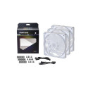 Phanteks PH-F140SK Fan 14 cm White 3 pc(s)